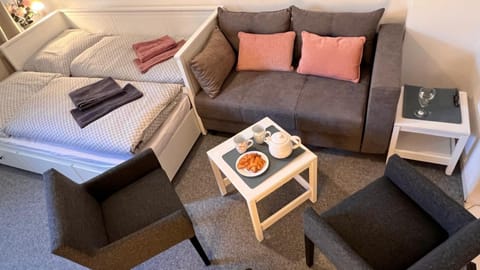 Bed, Living room, Photo of the whole room, Seating area, Bedroom