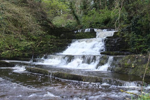 Dunneill River Rest Apartment in County Sligo