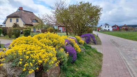 Alte und Neue Büdnerei Apartment in Mecklenburg-Vorpommern, Germany