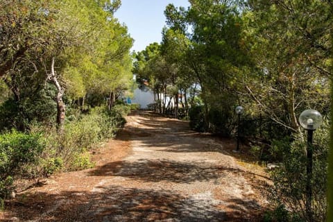 Spring, Day, Neighbourhood, Natural landscape