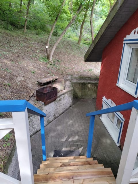 Spring, Neighbourhood, Summer