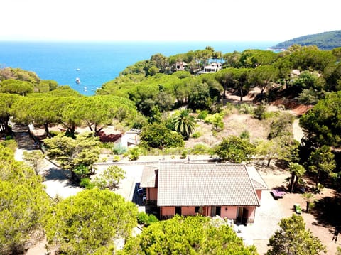 Natural landscape, Bird's eye view, Sea view