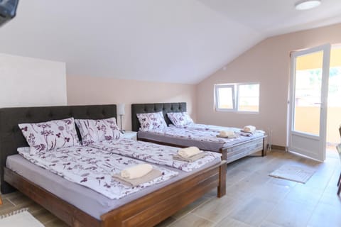 Vila Misljenovic, u centru Sokobanje, na pesackoj zoni Apartment hotel in Serbia