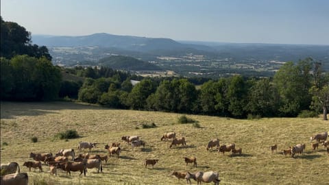 Maison Chez la Malie House in Auvergne-Rhône-Alpes