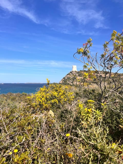 Ichnos experience room Vacation rental in Villasimius