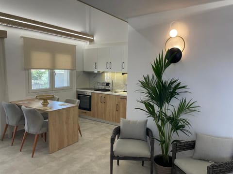 Kitchen or kitchenette, Dining area, oven, stove