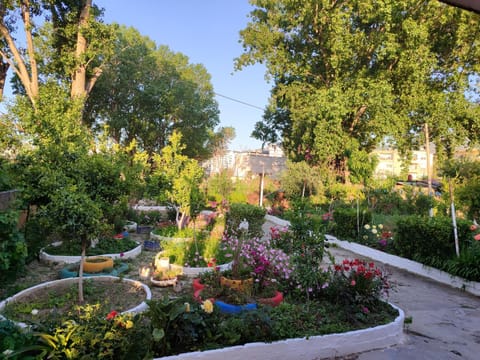Patio, Balcony/Terrace, Garden view