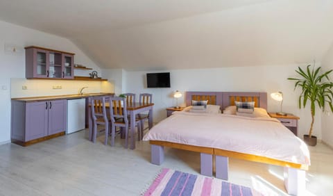 Bed, TV and multimedia, Kitchen or kitchenette, Bedroom