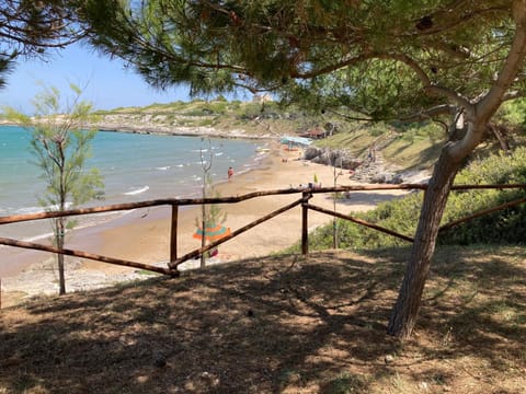 Nearby landmark, Natural landscape, Beach