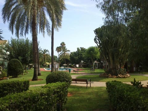 Garden, Garden view, Swimming pool