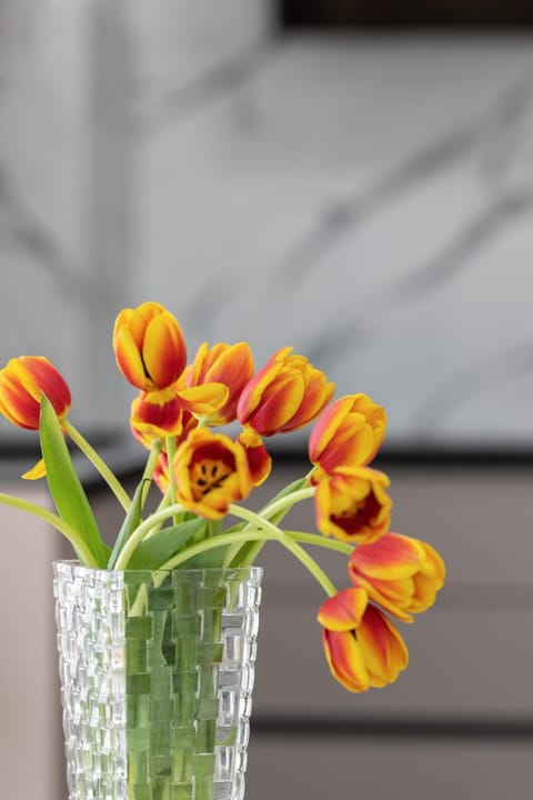 The Only One Suite Apartment in Zadar