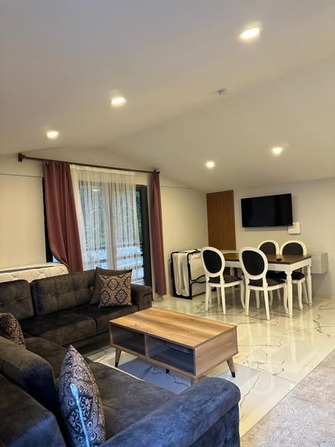 Communal lounge/ TV room, Living room, Seating area