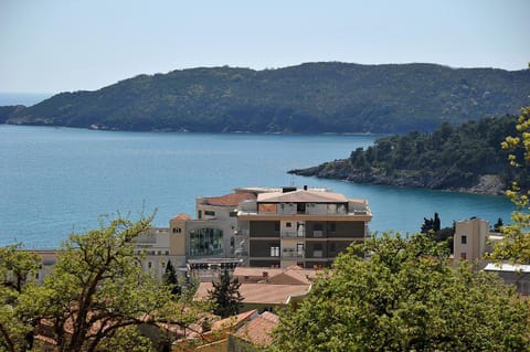 Natural landscape, View (from property/room), Sea view