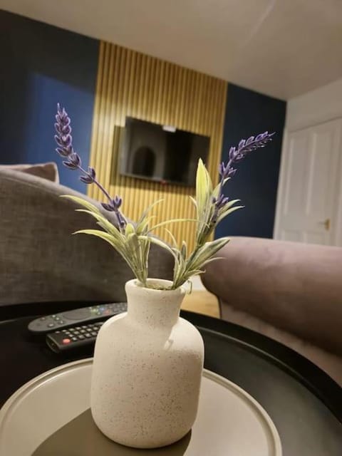 TV and multimedia, Living room, Seating area, Evening entertainment