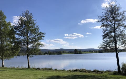 Natural landscape