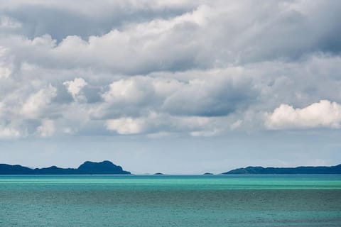 Luxury self catering 1 bed cottage with log burner House in Scotland