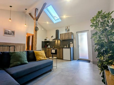 Living room, kitchen