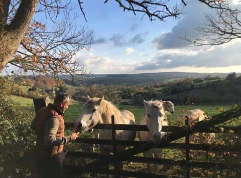 Natural landscape, Animals