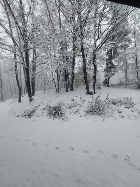 Šumski raj Lipovica House in Vojvodina