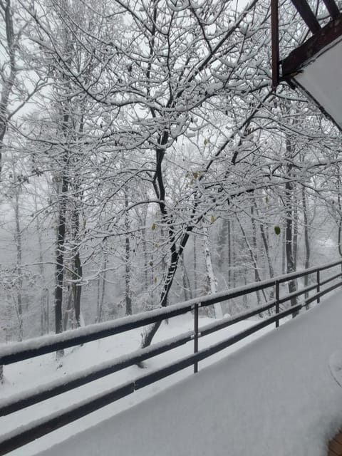 Šumski raj Lipovica House in Vojvodina