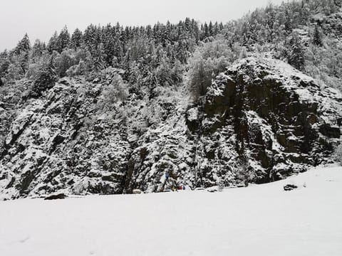 Chamonix, studio de 24 m2 Apartment in Les Houches