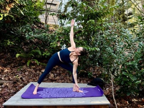 Creekside family house w yoga deck House in Lake City