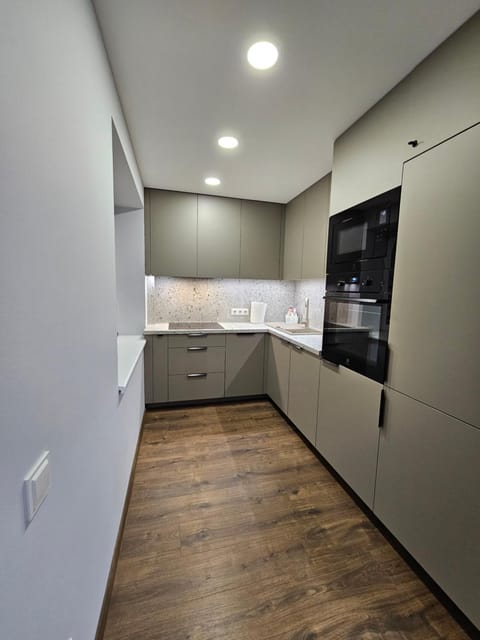 Kitchen or kitchenette, dishwasher, oven, stove