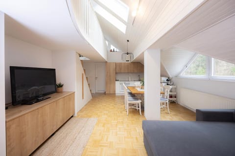 TV and multimedia, Kitchen or kitchenette, Living room, Photo of the whole room, Seating area, Dining area