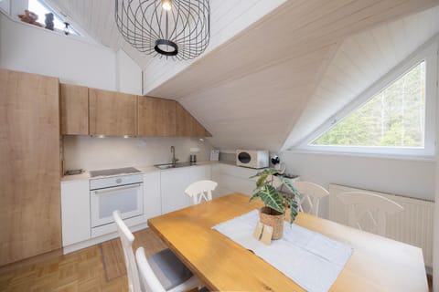 Kitchen or kitchenette, Dining area, stove