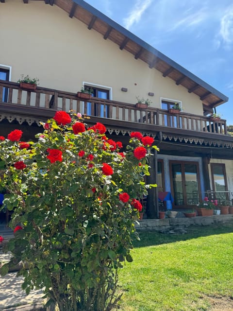 Property building, Spring, Day, Garden view