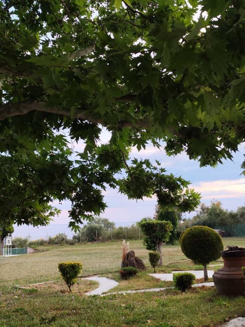 Villa Anestaki by the sea House in Evros, Greece