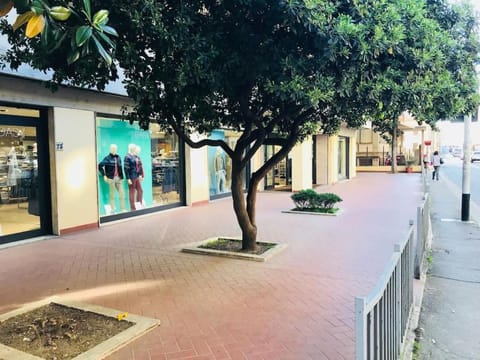 Day, Neighbourhood, Balcony/Terrace, Street view