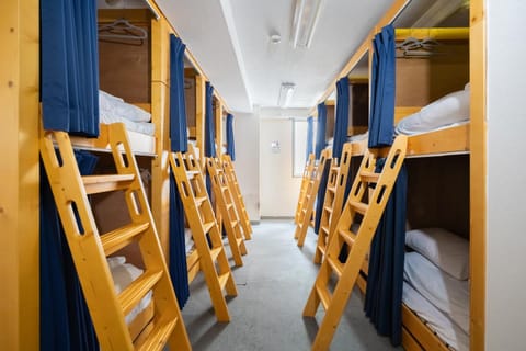 Bed, Photo of the whole room, Bedroom, bunk bed