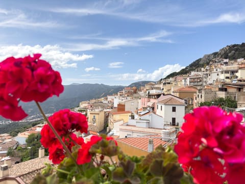 Natural landscape, City view