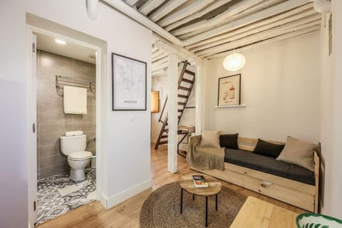 Charming Central Madrid Loft Apartment in Centro