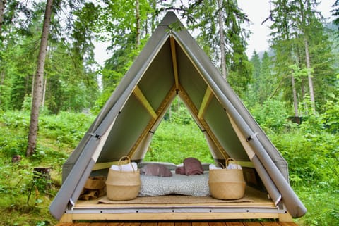 Bed, Natural landscape, Photo of the whole room, Mountain view, towels