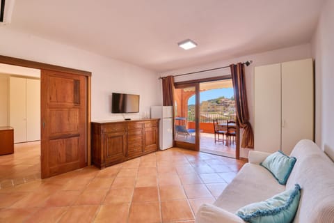 Natural landscape, TV and multimedia