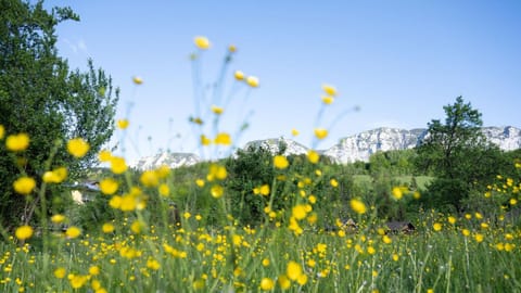 Pension Hanslmann Apartment in Salzburgerland