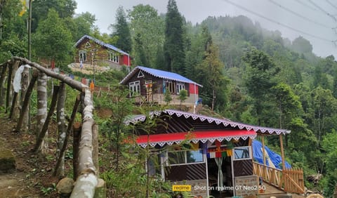 Property building, Spring, Day, Natural landscape, Garden, Garden view, Mountain view