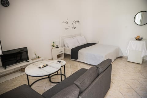 Bed, TV and multimedia, Living room, Photo of the whole room, Seating area, Bedroom