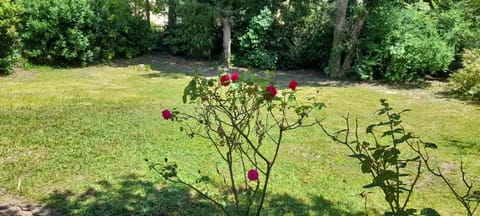 Charmante maison CHUFAC Futuroscope 15 min House in Poitiers