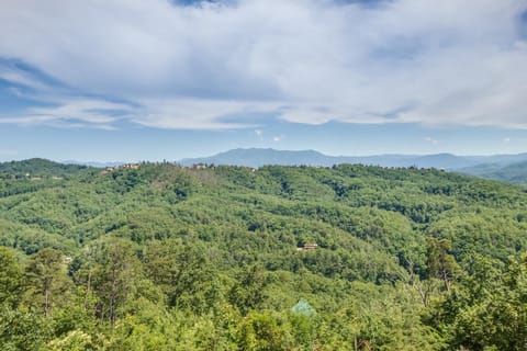Bearhemain Rhapsody, a Private Cabin with Incredible Mountain Views, Near Dollywood!! Cabin in Pigeon Forge