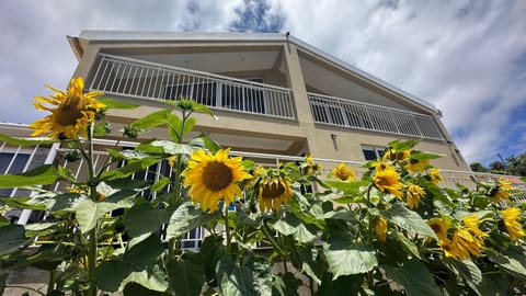 Property building, Day, Balcony/Terrace