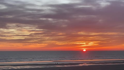 Natural landscape, Beach, Sunset