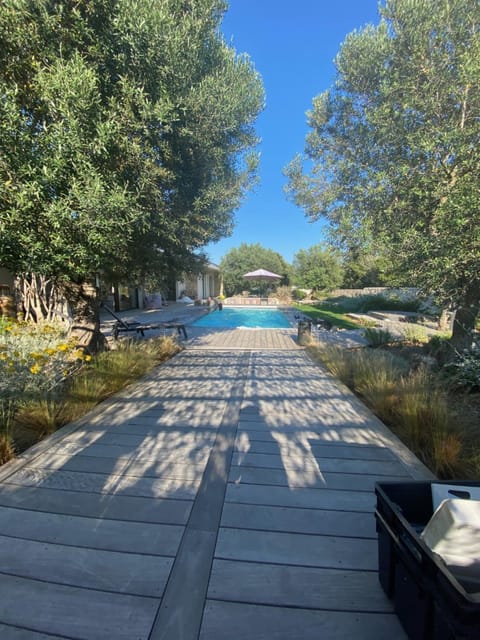 Garden, Pool view, Swimming pool