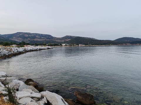 Sea view