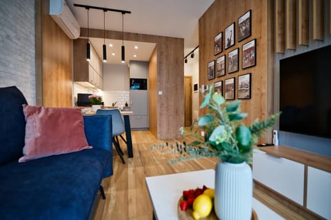 TV and multimedia, Kitchen or kitchenette, Living room, Seating area