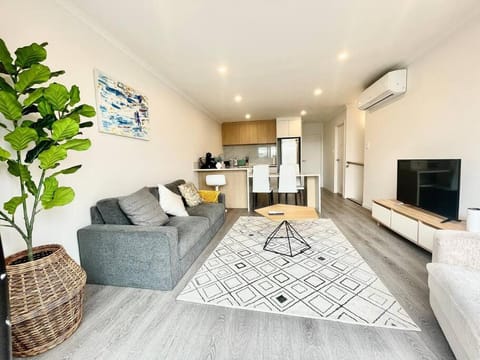 Nice New 3 bedroom Townhouse U4 Apartment in Hamilton