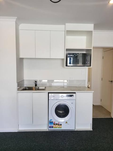 Nice New 3 bedroom Townhouse U4 Apartment in Hamilton