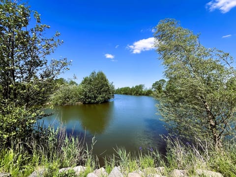 Dobre Miejsce- domki letniskowe nad stawem Nature lodge in West Pomeranian Voivodeship, Poland
